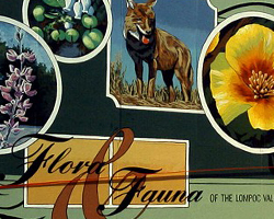 Flora and Fauna of the Lompoc Valley